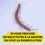 Tout son corps la démangeait… Les médecins découvrent un diagnostic effrayant : allergie ou urticaire ?