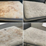 Combattez la moisissure sur les murs avec un remède simple et efficace