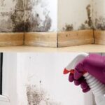 Redonner vie à votre matelas : un manuel personnalisé pour éliminer les taches et les odeurs