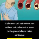 Kalanchoe : le trésor vert qui apaise et renforce votre santé