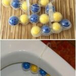 Alcool à l’ail : comment fabriquer un insecticide maison contre les pucerons, cochenilles et autres insectes