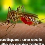 Éliminez naturellement vos imperfections cutanées grâce à ce remède méconnu