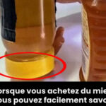 Calamarata : la recette d’une entrée de poisson savoureuse et parfumée