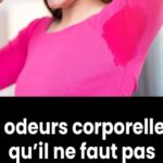 Voici pourquoi vous devez toujours laisser un verre retourné et un morceau de papier dans l’évier avant de partir en vacances