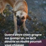 Votre rituel quotidien sous la douche : une habitude bénéfique ou un risque pour votre peau ?