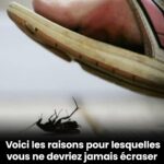 Piercing au tragus : quelle signification ?