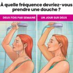 Pourquoi tant d’enfants coupent les ponts avec leurs parents ? Un psychologue révèle une vérité que personne n’ose dire…