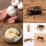 25 signes inquiétants que votre corps essaie de vous signaler concernant de graves problèmes de santé (et ce qu’il faut faire)