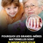 Explorer le potentiel des plantes et des remèdes naturels