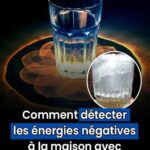 Un avion transportant 92 passagers atterrit 20 ans après l’ouverture de… Voir plus