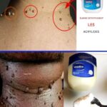 Les bonnes personnes ont donné une vieille bande-annonce à une femme sans-abri : la femme l’a transformée en une maison confortable au milieu de la forêt !