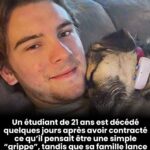 Cette astuce pour multiplier les roses vaut de l’or : jamais vu de tels résultats auparavant