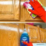 Superstitions autour du chat noir : ce que disent les croyances