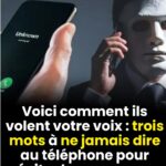 Mise à la terre avec les arbres : comment la mise à la terre pieds nus et l’énergie des arbres peuvent rétablir l’équilibre