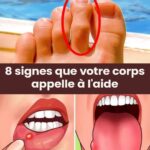 Cancer du col de l’utérus : les signes d’alerte à ne pas ignorer