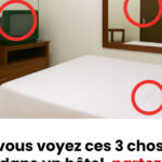 Comment reconnaître le vrai miel du faux grâce à des astuces simples et efficaces