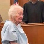 Drame sur l’A7, un camion transportant un char fait une chute de plusieurs mètres, le bilan s’alourdit de minute en minute « c’est horrible…