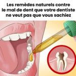 Quel véhicule déplacer pour résoudre ce casse-tête automobile ?