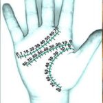 Comment éliminer naturellement les acariens et les punaises de lit de votre matelas