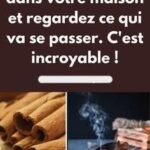 L’exercice de 5 minutes par jour qui améliore la posture et vous fait perdre du poids!!