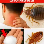 ✨ Discover the Secret to Radiant Skin: A Natural DIY Facial Wash You’ll Wish You Knew Sooner