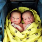 6 vitamines pour sauver sa prostate