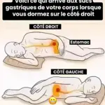 👇👇Le foie de volaille : un atout santé méconnu à cuisiner sans modération👇👇