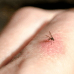 Recette de Cake au Yaourt au Cacao