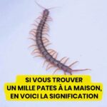 Découvrez ce que votre perception révèle sur votre bien-être mental