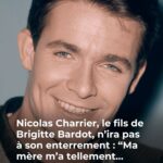 Il purifie les reins, le foie et les poumons, élimine les bactéries et chasse toutes les impuretés