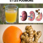 Peut-on quand même manger les restes de poulet sans hésiter ?