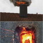 Rejeté à la naissance, il a fini par conquérir Hollywood