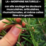 Kyste synovial du poignet : causes, symptômes, douleur, traitements