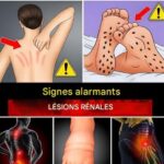 Une cuillère à café par jour suffit – détoxifier le foie et éliminer les toxines ! Dis adieu aux maladies !