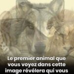 Votre fleur préférée en dit long sur qui vous êtes vraiment