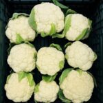 Soins de la peau en 3 étapes avec du clou de girofle : adieu rides et taches brunes