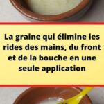 Cassolette de poissons : une recette savoureuse et gourmande