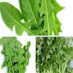 Si vous urinez sous la douche, soyez prudent : sachez que…