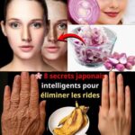 Le nombre de trous que vous voyez sur ce t-shirt révèle si vous êtes narcissique