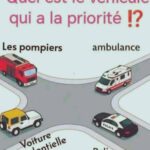 Je les ai trouvés chez ma grand-mère et je n’ai aucune idée de ce que c’est