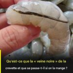 Fourchettes en plastique dans le potager, tous les jardiniers s’y mettent : la raison est ingénieuse