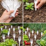 Qu’est-ce que la veine de la crevette, au juste ?… Voir plus