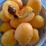 Fourchettes en plastique dans le potager, tous les jardiniers s’y mettent : la raison est ingénieuse