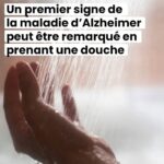 J’ai essayé toute ma vie de me souvenir du nom de ce fruit.