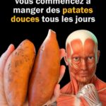 Les cafards disparaissent dès que vous sentez l’odeur de cette plante.