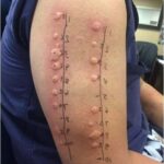 Le secret naturel qui rajeunit la peau et efface les rides