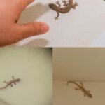 # Comment déboucher les buses de poêle et rendre la flamme plus forte avec cette astuce maison