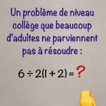 Les araignées de maison sont-elles dangereuses ? Pourquoi il ne faut pas les tuer