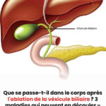 Un problème mathématique de niveau collège que beaucoup d’adulte n’arrive pas à résoudre